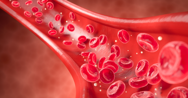 Blutgef&auml;&szlig; &copy; Shutterstock