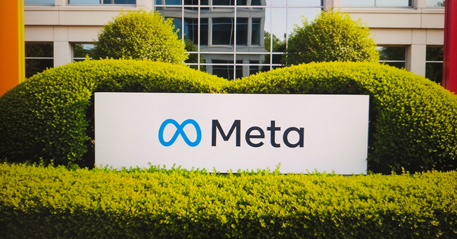 Meta &copy; shutterstock