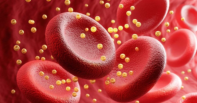 Einstellung des LDL-Cholesterin-Spiegels © shutterstock