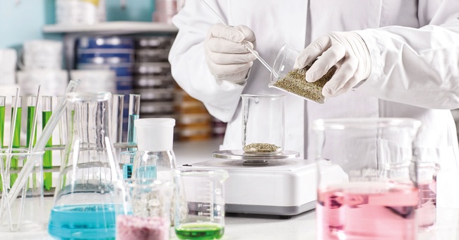 Neben der eingesetzten Drogenmenge, dem Extraktionsverfahren und dem Auszugsmittel hängt die Extraktqualität auch von Wirkstoffgehalt und Qualität der Ausgangspflanze ab. © Shutterstock