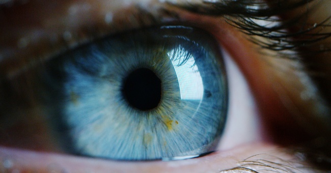 Nahaufnahme von einem Auge. © Shutterstock