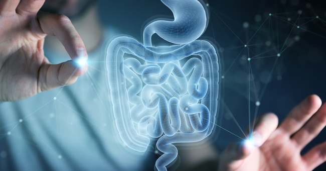 Symbolbild für Magen und Darm © Shutterstock