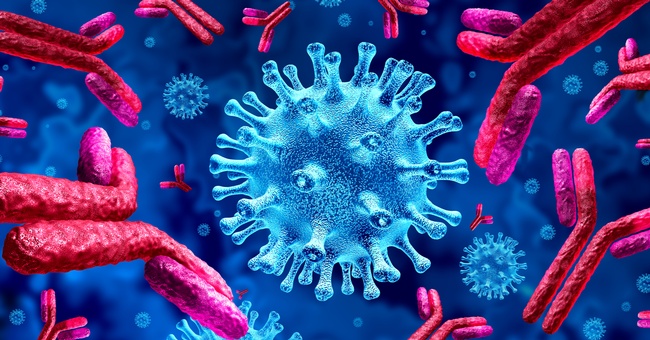 Antikörper bei COVID-19-Infektionen © Shutterstock