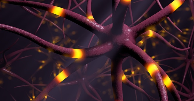 Synapsen im Gehirn. © Shutterstock