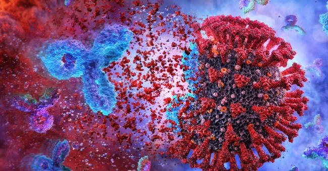 SARS-CoV-2 Antikörper © Shutterstock