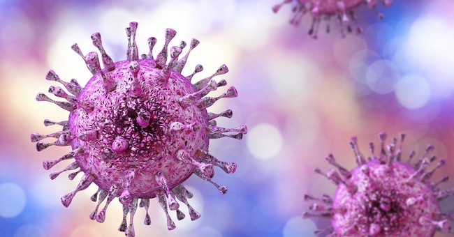 CMV-Virus © Shutterstock