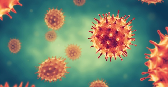 Monoklonale Antikörper scheinen bei der Omikron-Subvariante BQ.1.1 nicht zu wirken. © Shutterstock