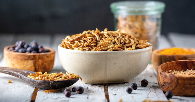 Insekten und Früchte in Schüsseln © iStock