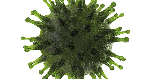Corona-Virus © Shutterstock