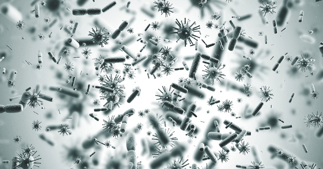 Mykobakterien mit Mutationen im Gen resR erholten sich nach Antibiotikabehandlung schneller als der Wildtyp. © Shutterstock