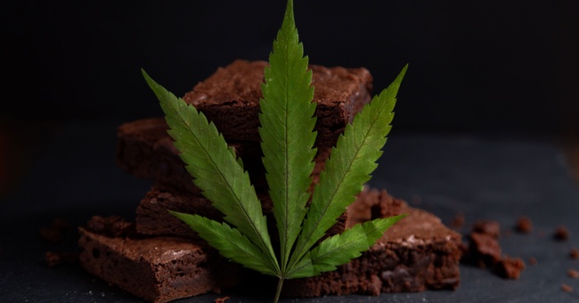 Brownie © Shutterstock