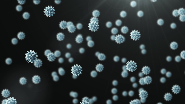 shutterstock &copy; shutterstock