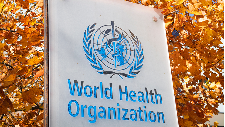 WHO &copy; Richard Juilliart/Shutterstock