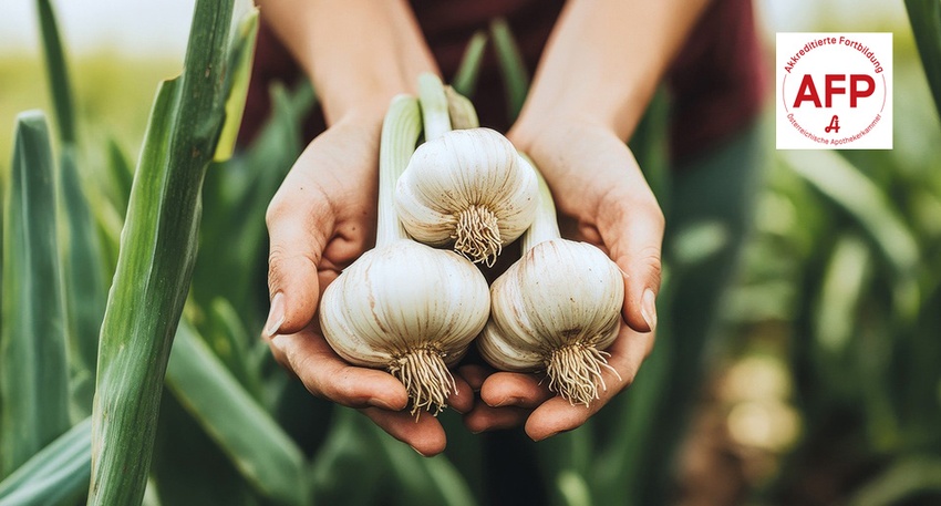 Knoblauch © Shutterstock/APOVERLAG