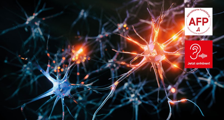 NeuamMarkt © Shutterstock/APOVERLAG