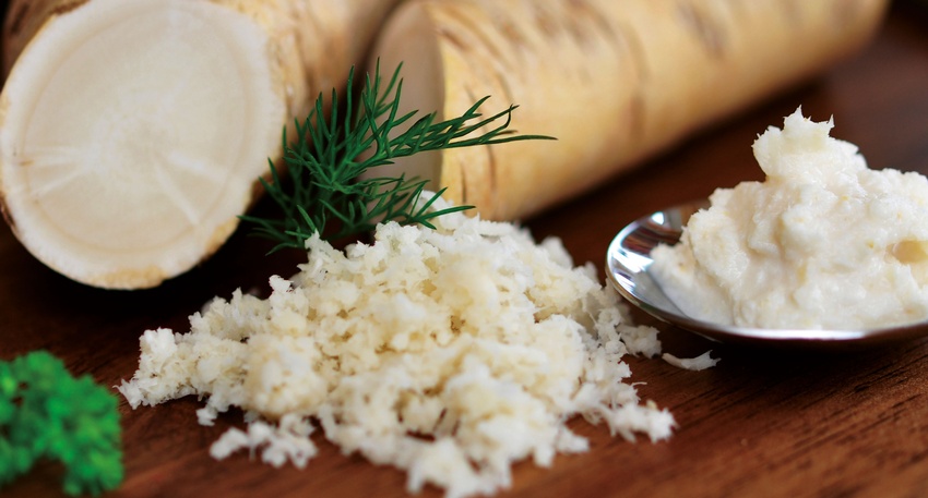 Die frische Wurzel des Meerrettichs enthält Glucosinolate, die nach Zerstörung der Zellstruktur in flüchtige antibiotische Senföle gespalten werden. © Shutterstock