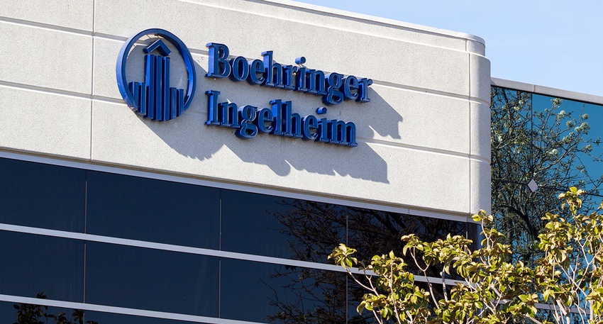Ingelheim &copy; Shutterstock