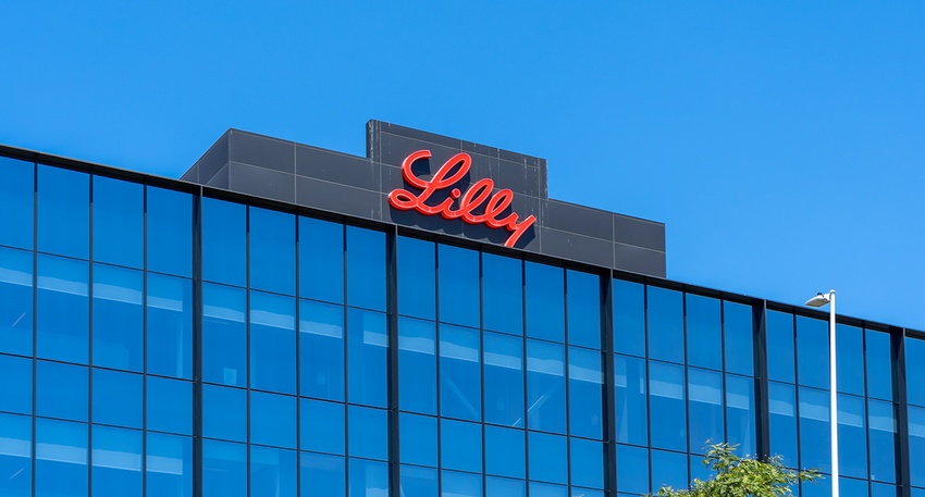 Lilly &copy; Shutterstock