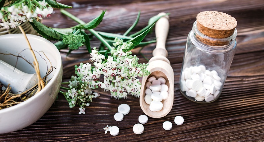 Pflanzlich &copy; Shutterstock