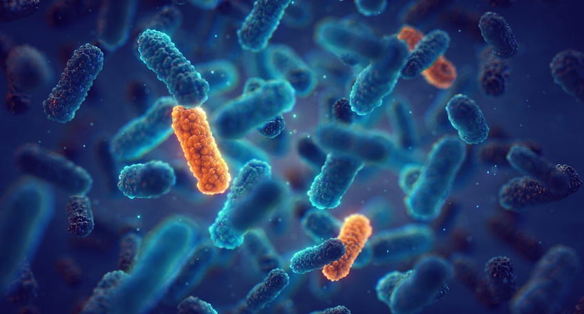Antibiotikaresistenz  © Shutterstock