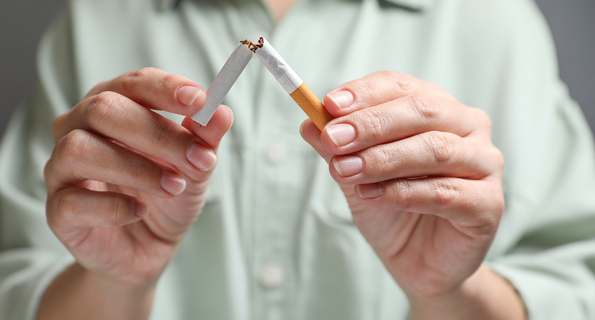 Zigarette wird gebrochen © Shutterstock