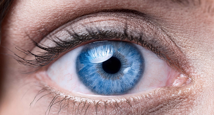 Auge © Shutterstock