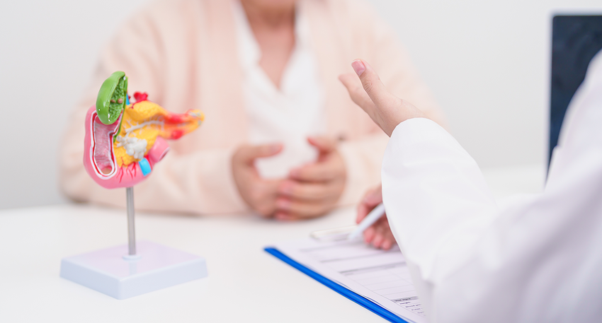 Pankreas &copy; Shutterstock