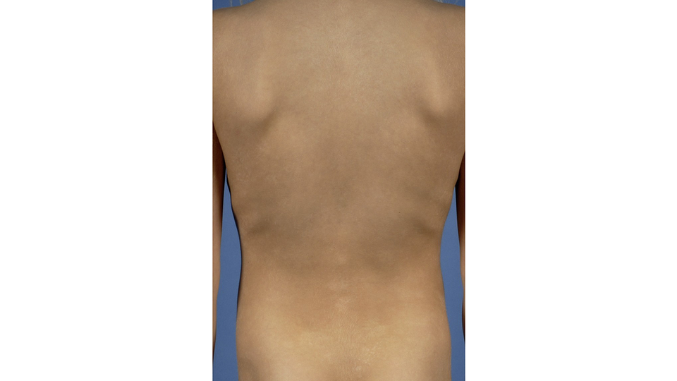 ..... © beigestellt