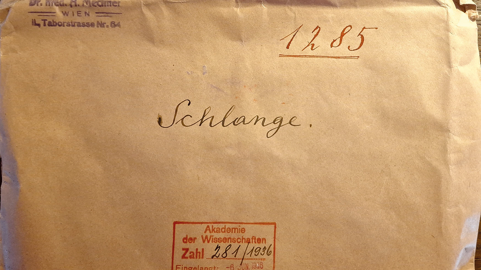 Adolf Mechners „Vorläufige Mitteilung: Schlangengiftsalbe gegen Schnupfen“ aus dem Archiv der Österreichischen Akademie der Wissenschaften („Versiegeltes Schreiben“ Nr. 1285 v. 6. Juni 1936).  © Beigestellt