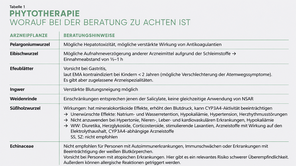 ApoVerlag, mit KI bearbeitet &copy; ApoVerlag, mit KI bearbeitet