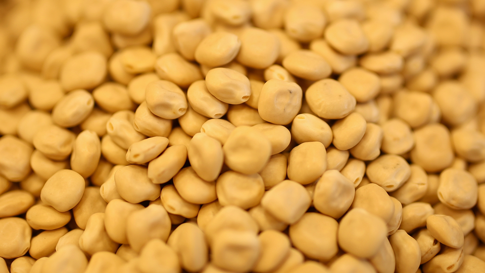 © Shutterstock Lupinen © Shutterstock