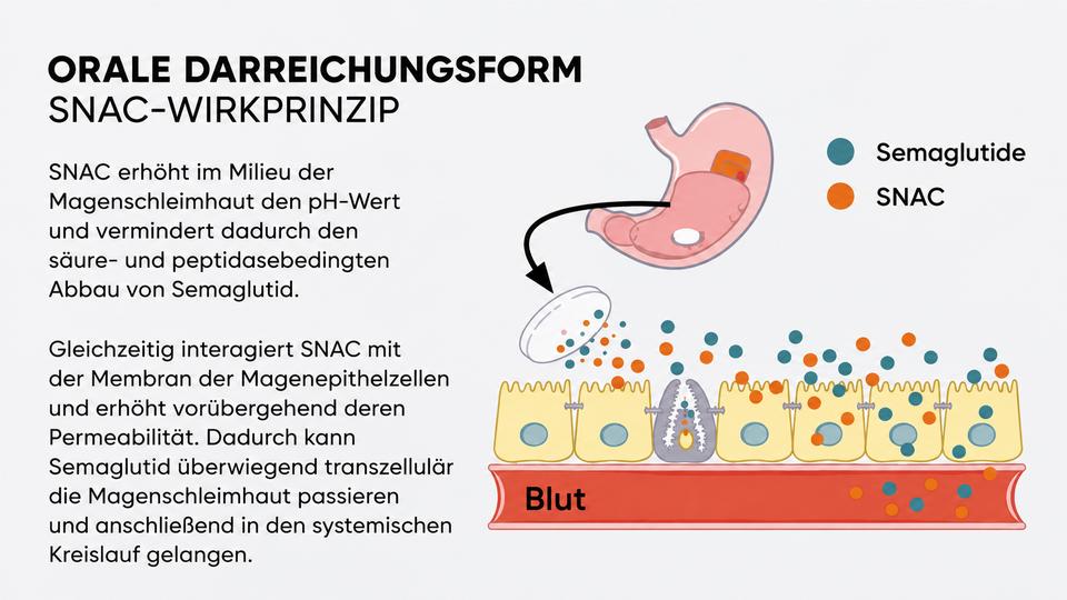 ApoVerlag &copy; ApoVerlag