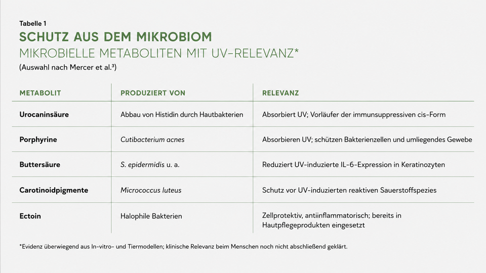 ApoVerlag &copy; ApoVerlag
