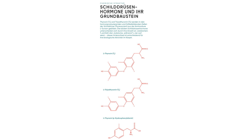 APOVERLAG &copy; APOVERLAG