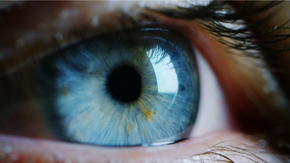 Nahaufnahme von einem Auge. © Shutterstock