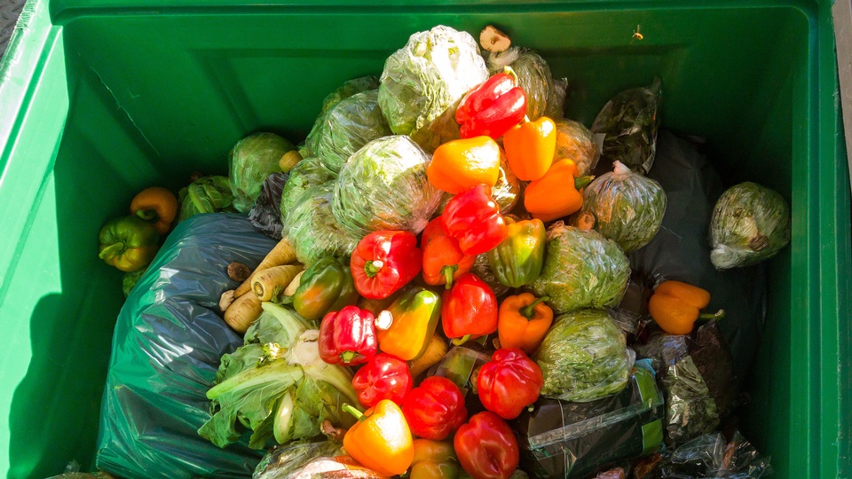 Frisches Gemüse in Mülltonne © Shutterstock