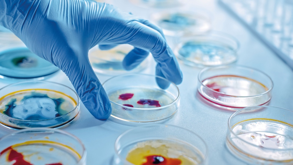 Themenbild Antibiotika-Resistenzen © Shutterstock
