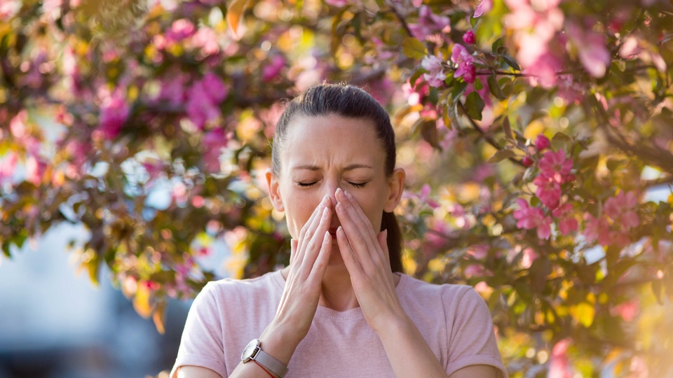 Themenbild Allergie © Shutterstock