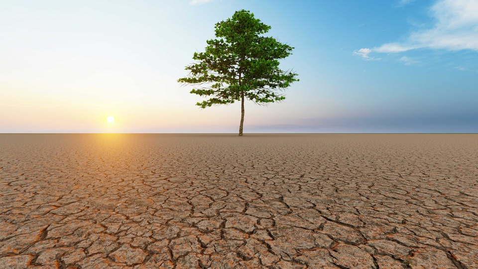Erderwärmung Symbolbild © Shutterstock