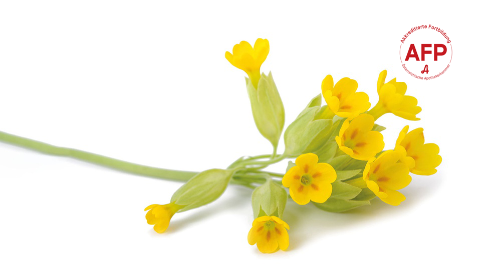 HMMPA Monographie © Shutterstock/APOVERLAG