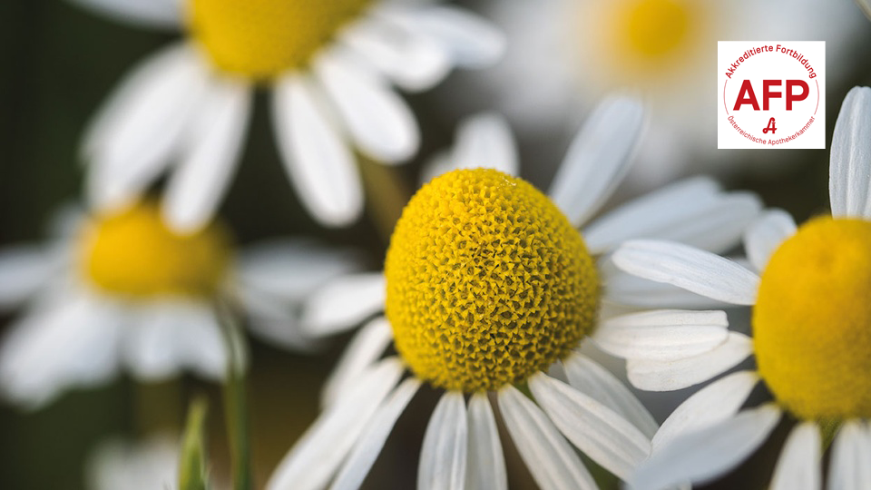 © Shutterstock/APOVERLAG Kamille © Shutterstock/APOVERLAG