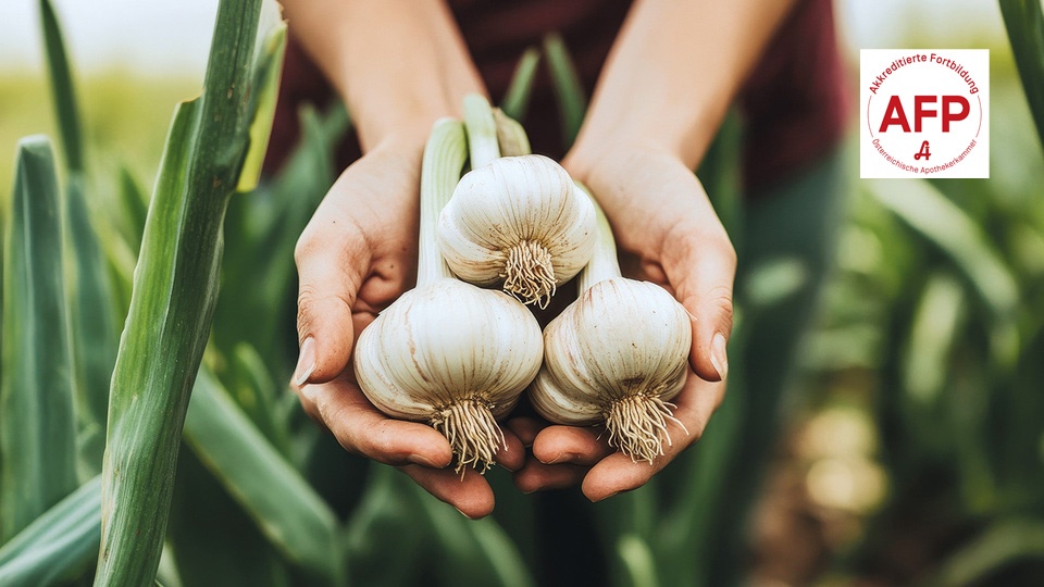© Shutterstock/APOVERLAG Knoblauch © Shutterstock/APOVERLAG