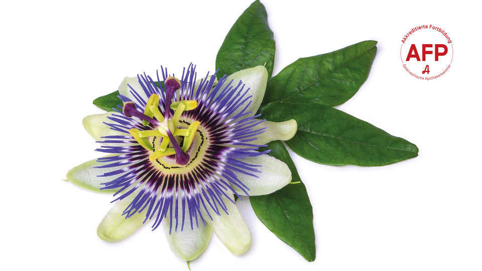 © Shutterstock/APOVERLAG Passionsblume © Shutterstock/APOVERLAG