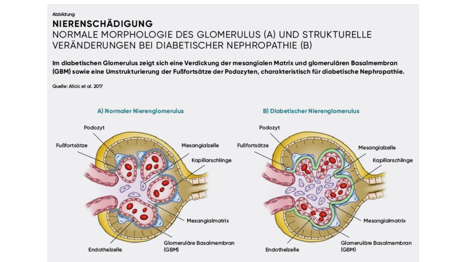 APOVERLAG &copy; APOVERLAG