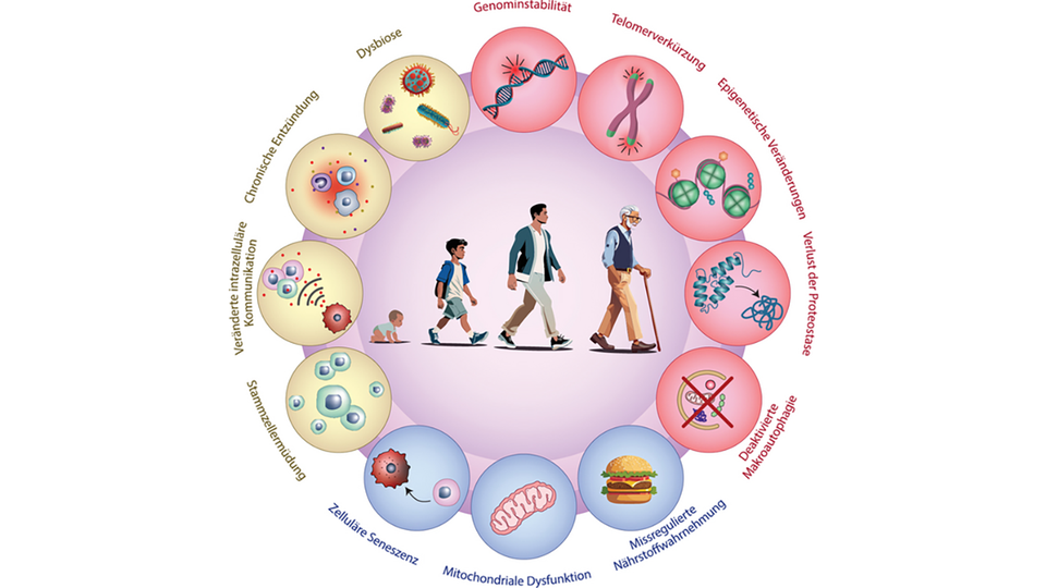 künstlich generiert © künstlich generiert