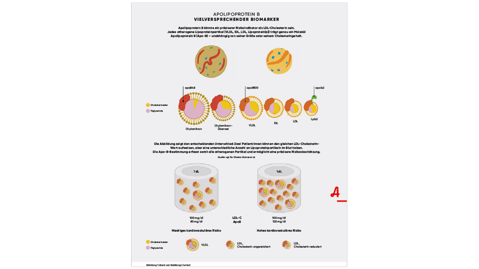 Abbildung 1 (oben) und Abbildung 2 (unten) © vgl. De Oliveira-Gomes et al.