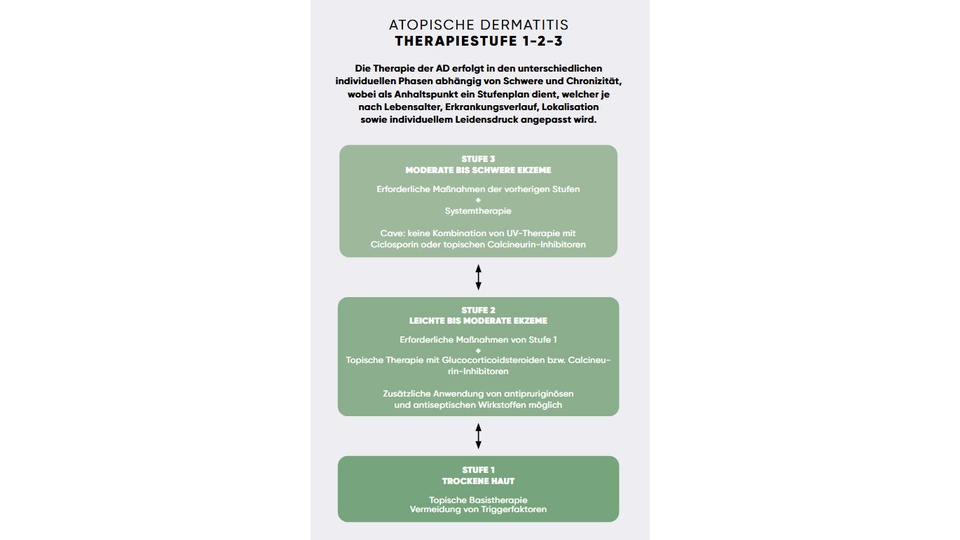 Tabelle © APOVERLAG