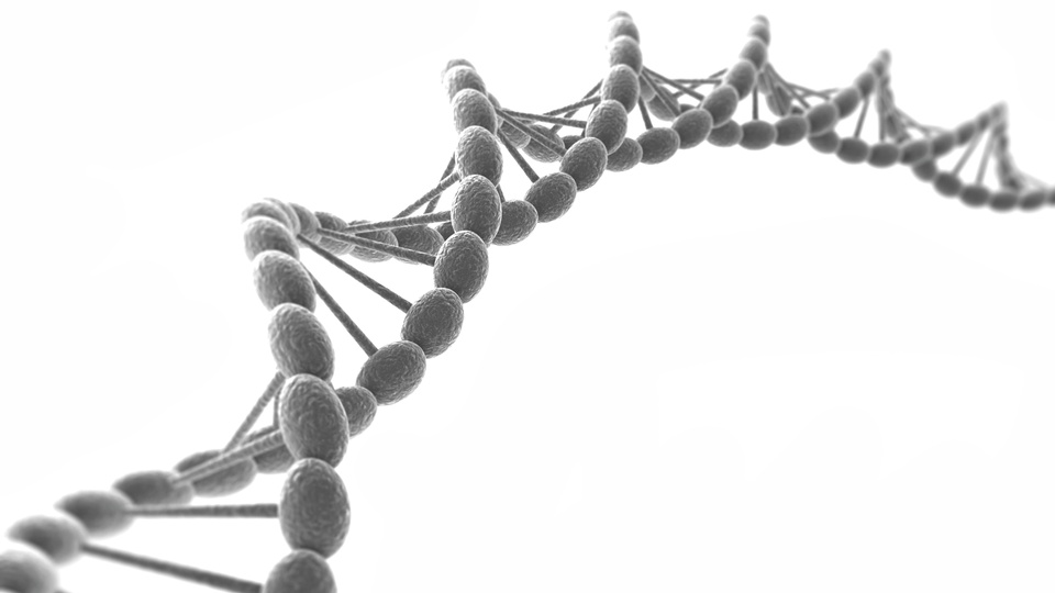 DNA © Shutterstock
