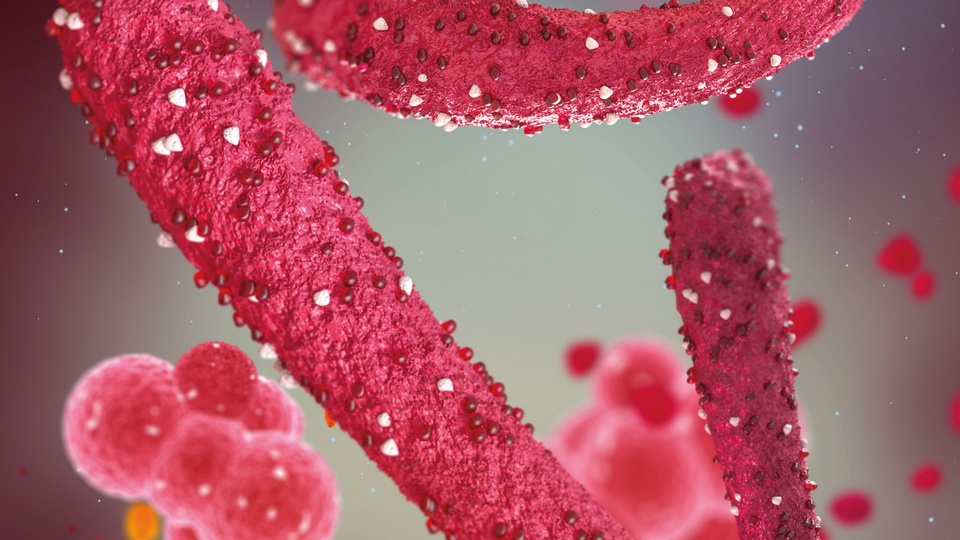 Helicobacter © Shutterstock