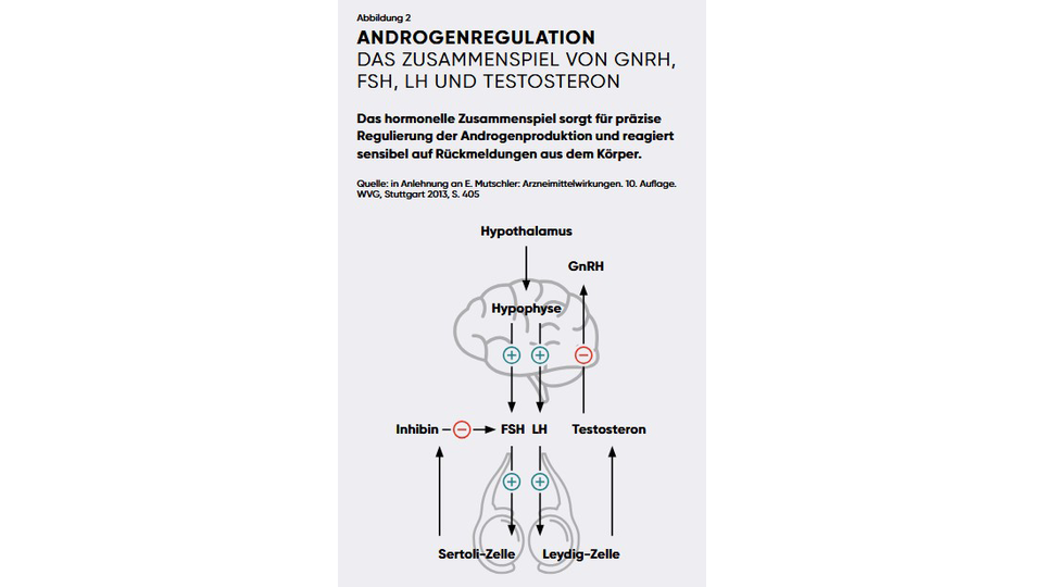 Steroide &copy; APOVERLAG